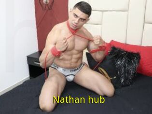 Nathan_hub