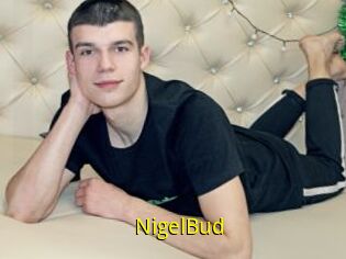 NigelBud