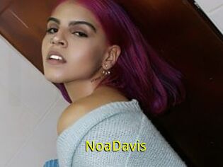 NoaDavis