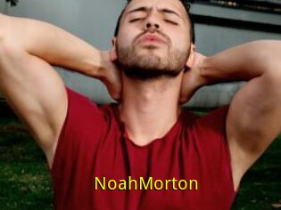 NoahMorton