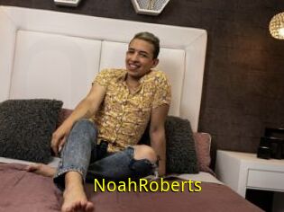 NoahRoberts