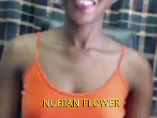 _NUBIAN_FLOWER_