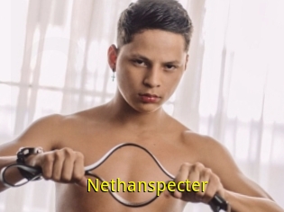 Nethanspecter