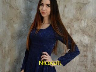 Nicecatt