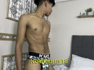 Noahhorny18