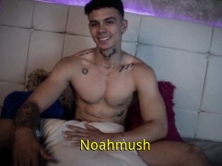 Noahmush