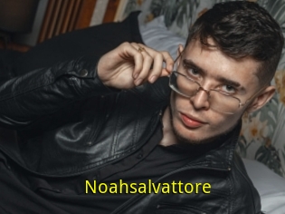 Noahsalvattore