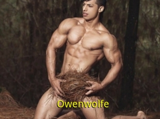 Owenwolfe