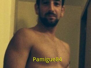 Pamigue84