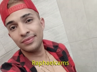 Raphaelcams