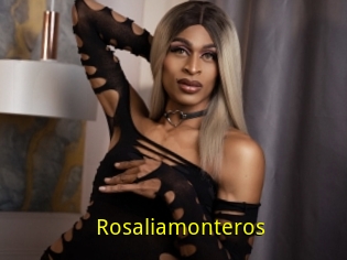 Rosaliamonteros