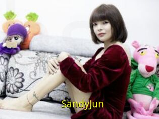 SandyJun