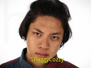 ShaggyCozzy