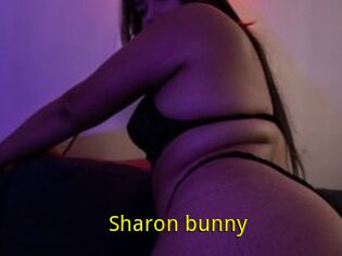 Sharon_bunny