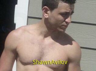 Shawn_Avilov