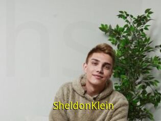 SheldonKlein