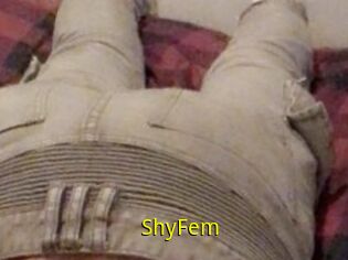 ShyFem