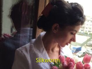 Silkworm