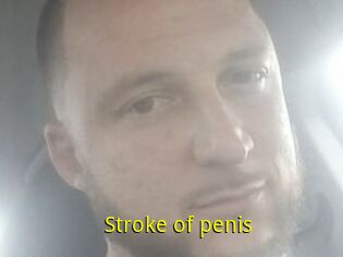 Stroke_of_penis