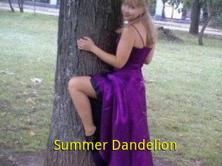 Summer_Dandelion