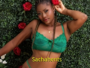 Sachahents