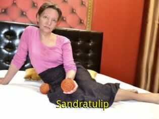 Sandratulip