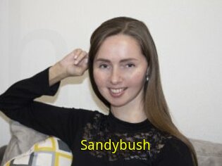 Sandybush