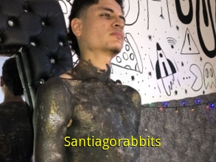 Santiagorabbits