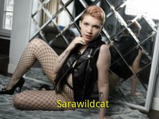 Sarawildcat