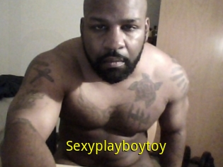 Sexyplayboytoy