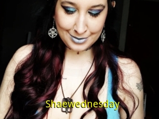 Shaewednesday