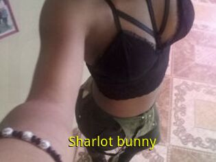 Sharlot_bunny