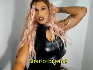 Sharlotbigcock