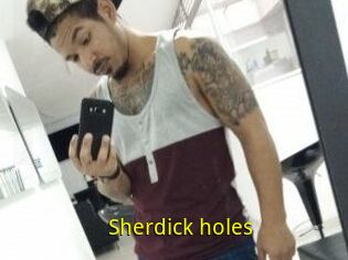 Sherdick_holes