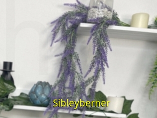 Sibleyberner