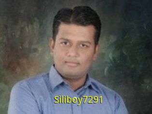 Siliboy7291