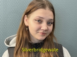 Silverbridgewate