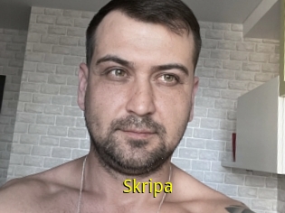 Skripa