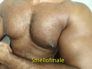 Smellofmale