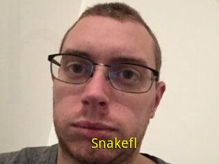 Snakefl