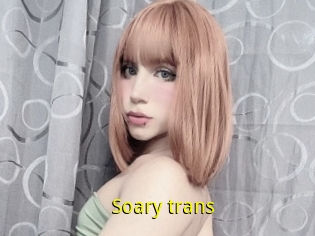 Soary_trans