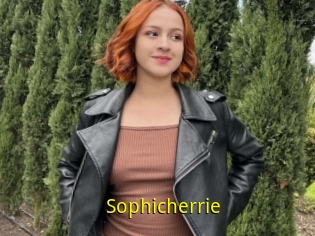 Sophicherrie