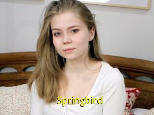 Springbird