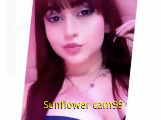 Sunflower_cam99