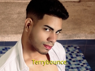 Terrybounce