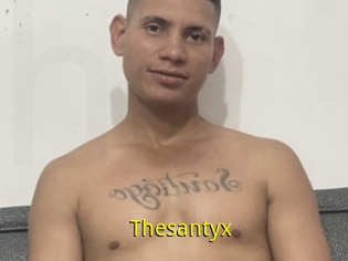 Thesantyx