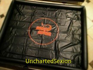 UnchartedSexion