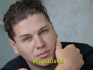 VelosaDavid