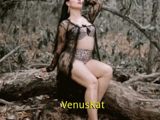 VenusKat