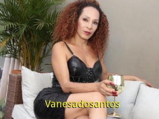 Vanesadosantos